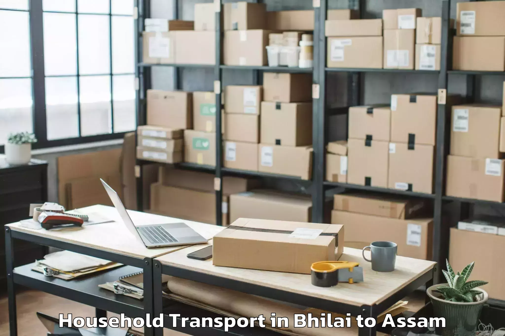 Professional Bhilai to Kokrajhar Pt Household Transport